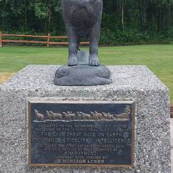 Balto = Leithund von 1925