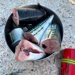 Dinner