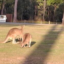 Locals came to visit