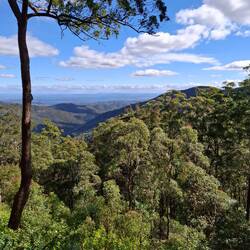 Wivenhoe lookout - looking west