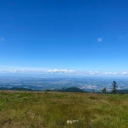 Bergheide Hornisgrinde