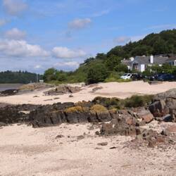 alles voller Muscheln