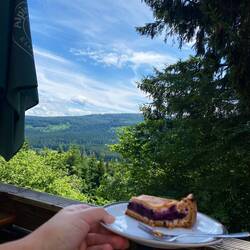 Naturfreundehaus, Kuchen mit Blaubeeren aus dem eigenen Garten