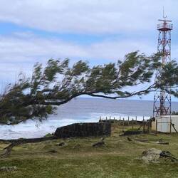 der Wind hat seine Spuren hinterlassen