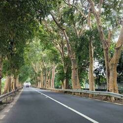 weiter geht's zum "Pointe aux Roches"