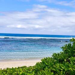 wenn DAS nicht mal tolle Farben sind...