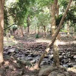 🔊🔊🔊 🔊🔊🔊