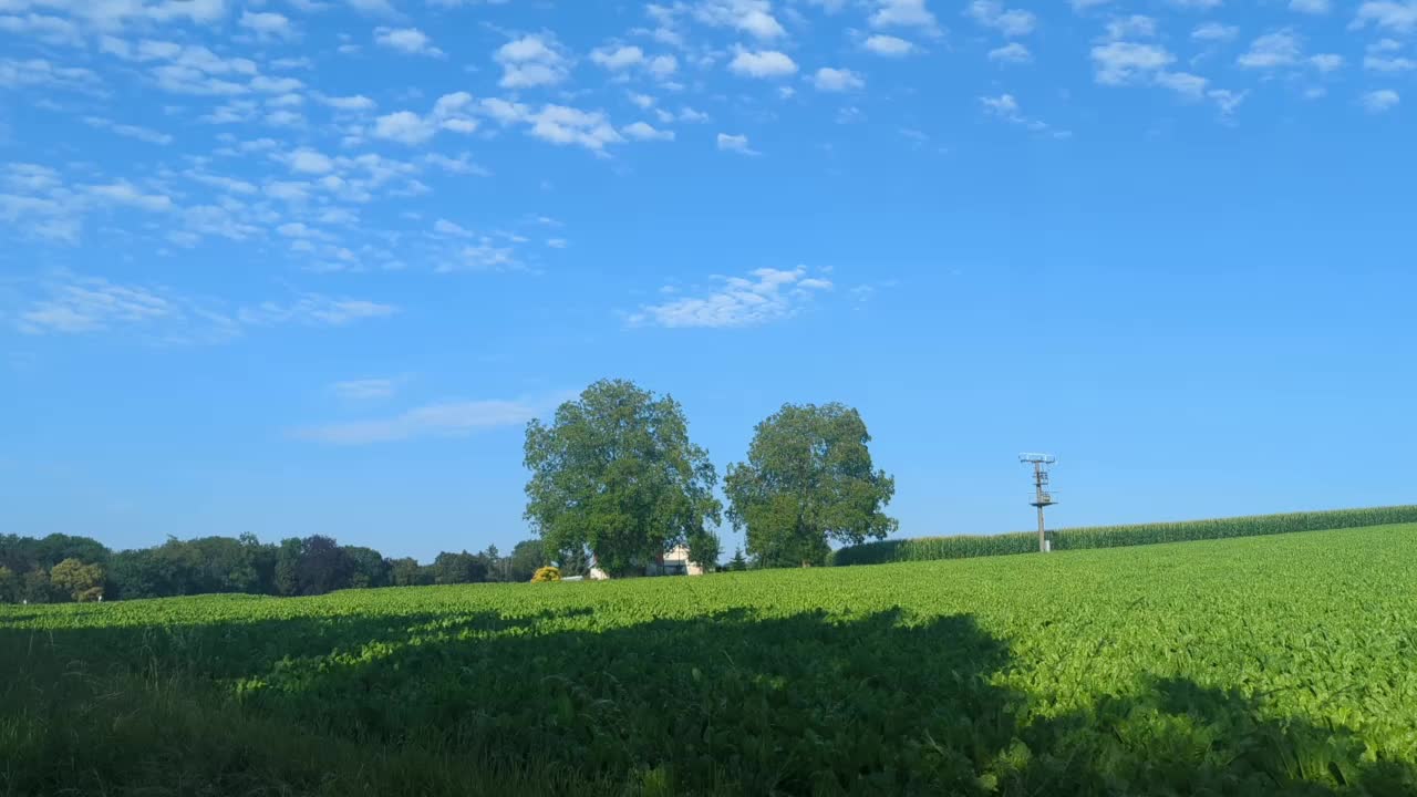 Das kleine Häuschen an unserer Straße ...