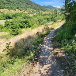 narrow path ahead...