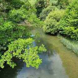 The Arga river