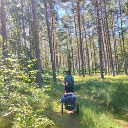 Diese wundervolle Natur 🍄‍🟫