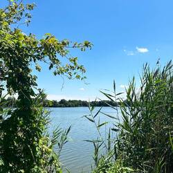 Park Krajobrazowy Dolina Baryczy