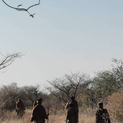 Wanderung mit den Buschfrauen
