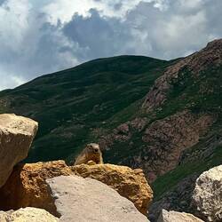 Lots of skittish resident Mormots