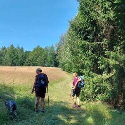 Nach dem guten Essen sind die Beine schwer.