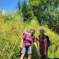 Der Frodo ist natürlich auch dabei.