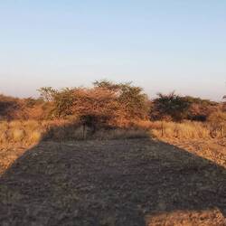 Auch der Schatten unseres Trucks ist beeindruckend