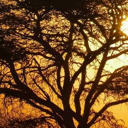 Durchs Busfenster aufgenommen...