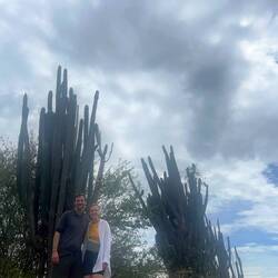 Hier sieht man wie groß die Kakteen teilweise werden