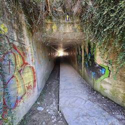 Tunnel under the highway
