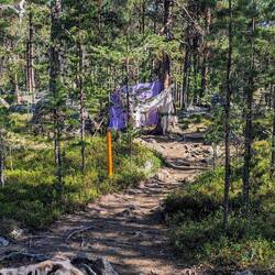 Die Tücher halten die Rentiere auf und wir können durch. 🤔😅
