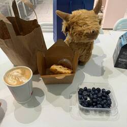 For those wondering what Taylor is up to... She's having b'fast with friends