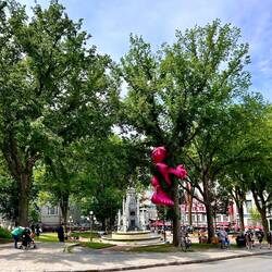 no idea what the pink thing is 😂