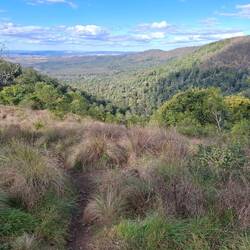 Over looking a 'Balds' grass area from Pine Gorge lookout