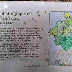 Not to be messed with!