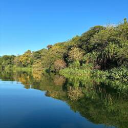 The river Ord