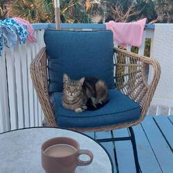 Gemeinsam einen Kaffee trinken....