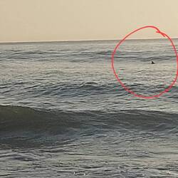 Sogar vom Strand aus Delfine gesehen. Leider nur ganz schlechte Bilder 🤷‍♂️