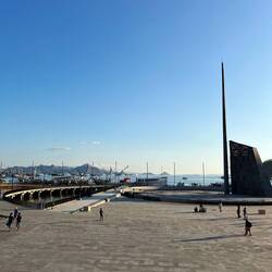 The harbour