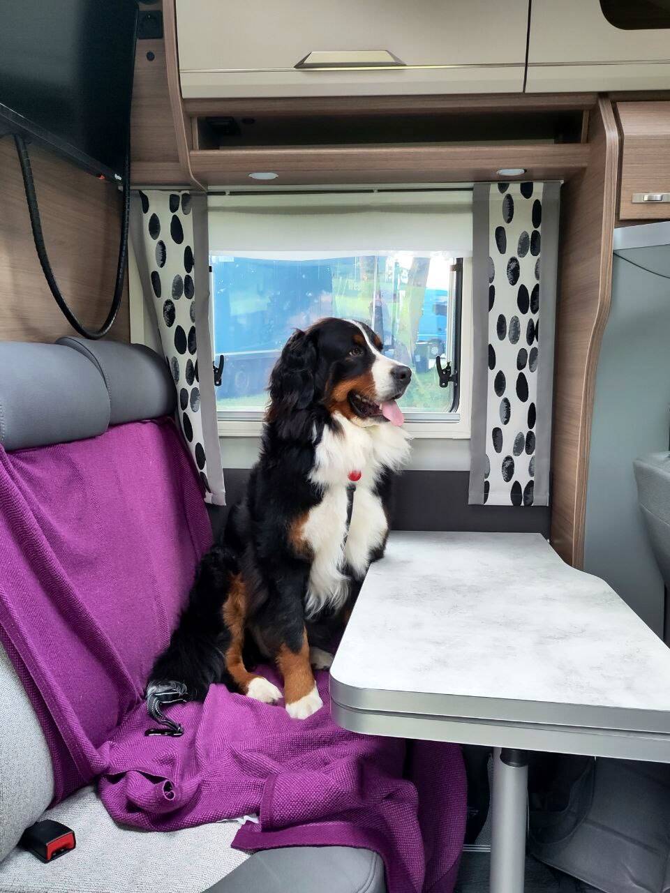 Neuer Lieblingsplatz.