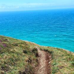 If the path is beautiful, let us not ask where it leads. ~ Anatole France