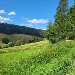 Taleingang von Rittersgrün.