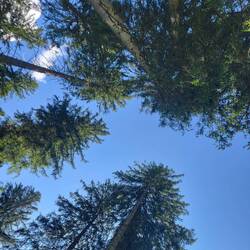 Ich lasse den Blick gen Himmel schweifen.