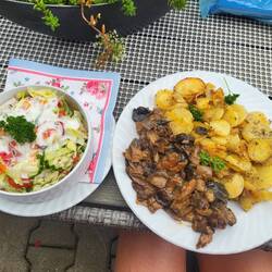 Waldpilze zum Abendessen.