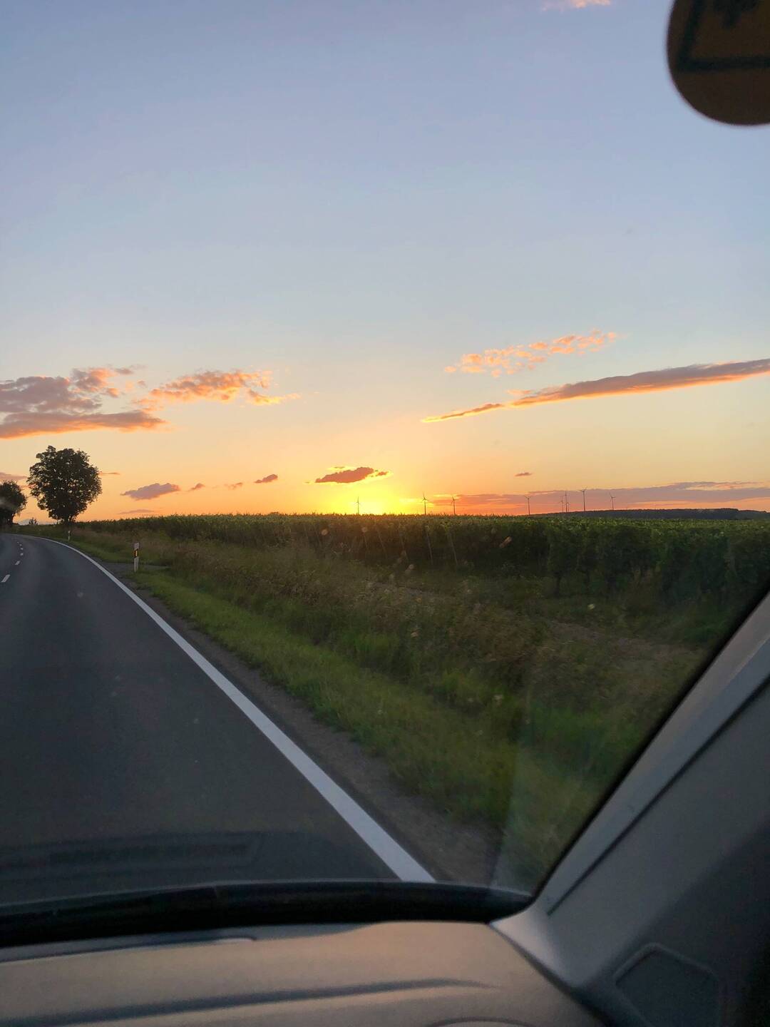 In strömendem Regen losgefahren - mit dieser Abendsonne empfangen worden. 🥰