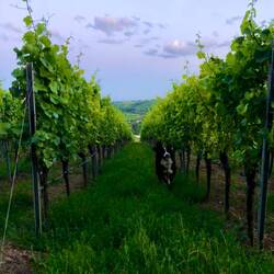 Endlich wieder Bewegung!