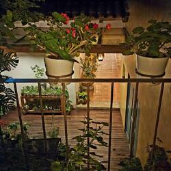 Ausblick von meinem Zimmer