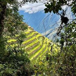 Inca terraces