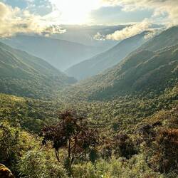 The start of Cloud Forest