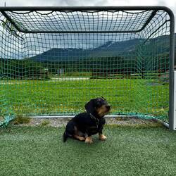 Ein kleiner Zuverdienst als Torwart und er könnte die Reise mitfinanzieren 😆