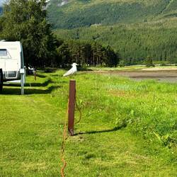 Ständig unter Beobachtung