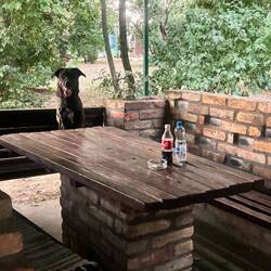 Kurz an der Bar schon sitzt Cliff ordentlich am Tisch