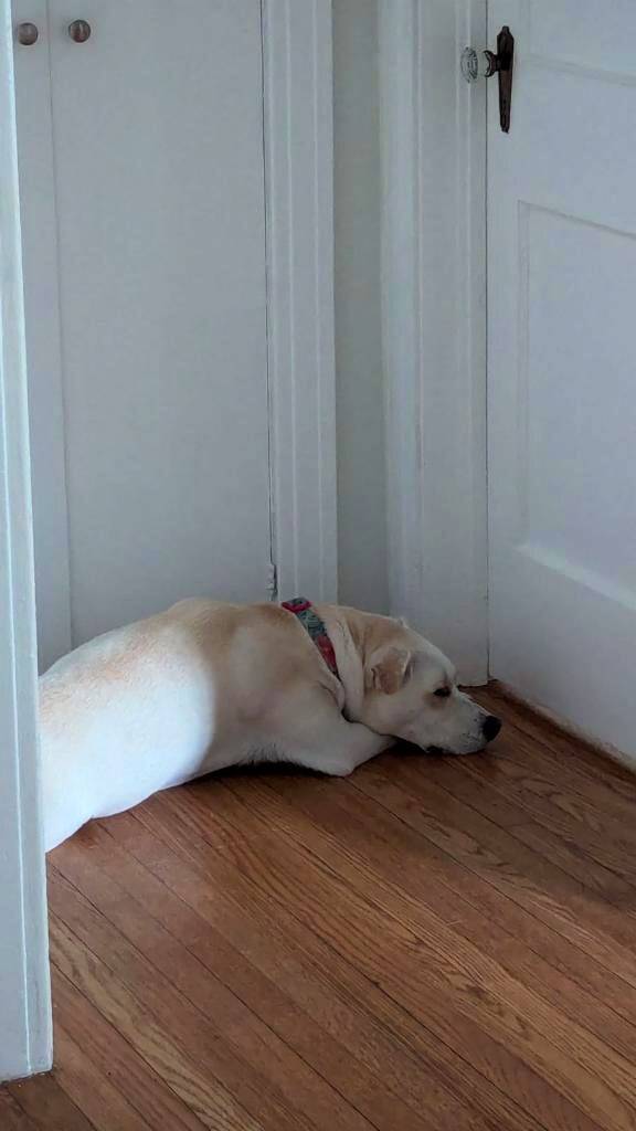Why do they sleep so late around here?