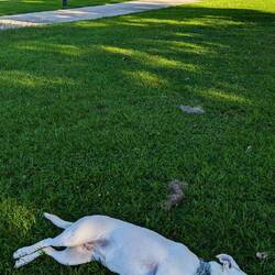 Dang it is HOT here! 🥵