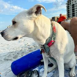 This is the Sunmer of Gracie and that is the best!