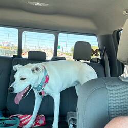 They take me everywhere in Florida and I love that!